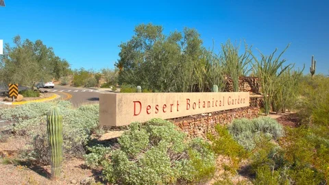 Phoenix AZ Desert Botanical Garden Nature Scene with Signage Stock Footage 112672016