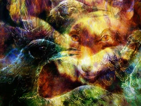The phoenix bird  and fox collage. Stock Illustration