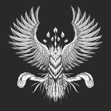 Phoenix Bird vector illustration イラスト素材