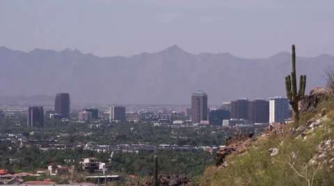 Phoenix Buildings with Cactus Stock Footage 24234612
