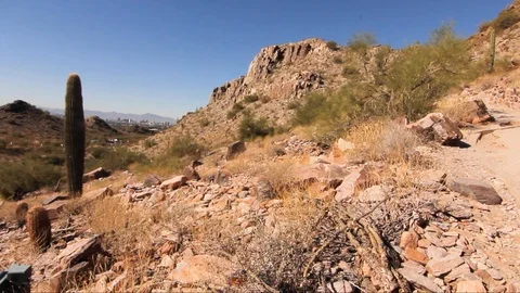 Phoenix Ciytscape Stock-Footage 99671444