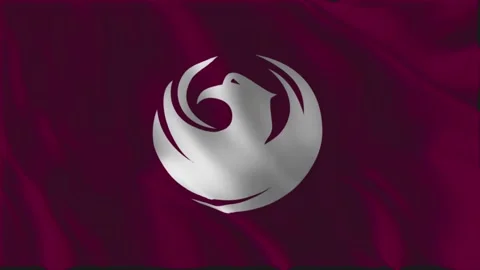 Phoenix flag waving slowly Vídeo Stock 340235225