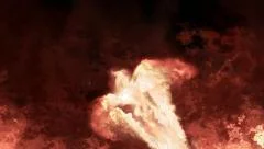 Phoenix Logo Reveal Stock After Effects