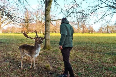 Phoenix Park - largest park inside any European capital city Stock Photos