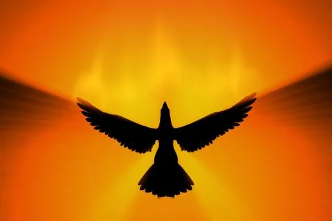 Phoenix rising Stock Illustration