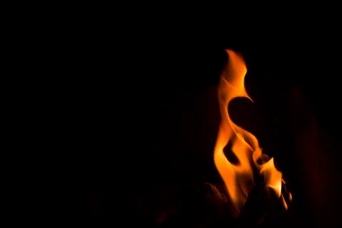 Phoenix shaped fire flames on black background Stock Photos