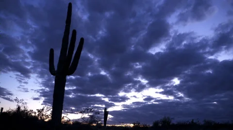 Phoenix Timelapse Stock Footage 32520099