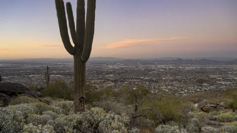 Phoenix Traffic 16th St Stock Footage 342461373