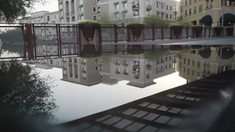 Phoenixbackyard Video stock 159440520