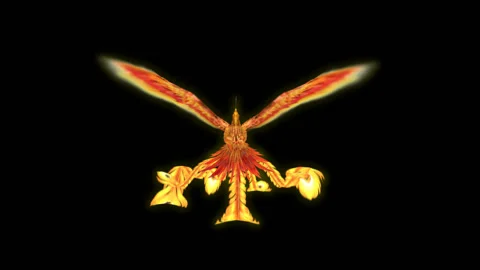 Phoenix,Flying Phoenix.bird,design,art,wing Stock Footage