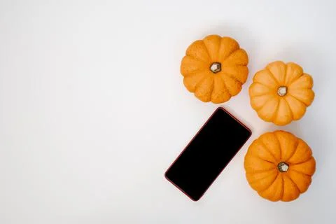 Phone and three pumpkins Stock Photos