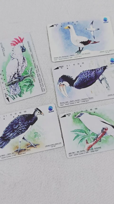 Phone cards Stock Footage 324608912