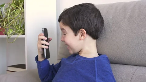 Phone content sitting on a couch in the day at hom Vidéo 251655144