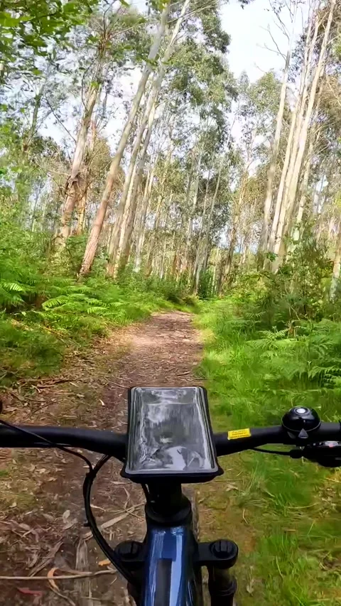 The phone is displaying a message that says "I'm on the road." Scene is peaceful Stock Footage 280210122