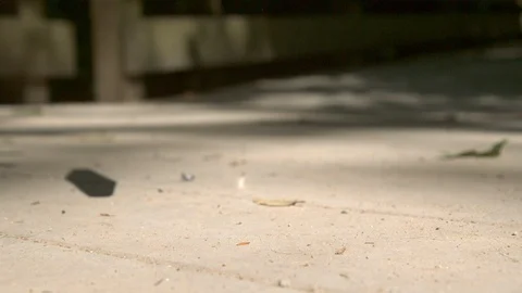 Phone falling on patio deck slow motion Stockbeeldmateriaal 111399795