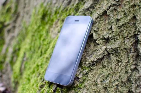 Phone found in forest Stock Photos