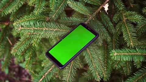Phone with a green screen on Christmas tree fluffy branches. Smartphone mock up Stock Footage 224164426