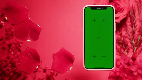 Phone with green screen chroma key on red and pink background close up, top view Stock Footage 278917798