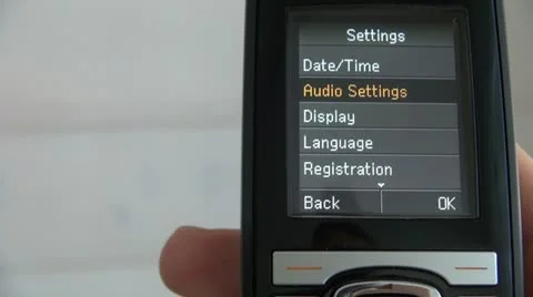 Phone : language set up Stock Footage 20304514