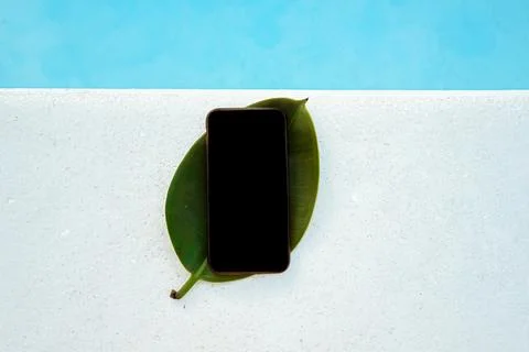 A phone on a leaf of a summer tree, a place for your website and advertisin.. Stock Photos