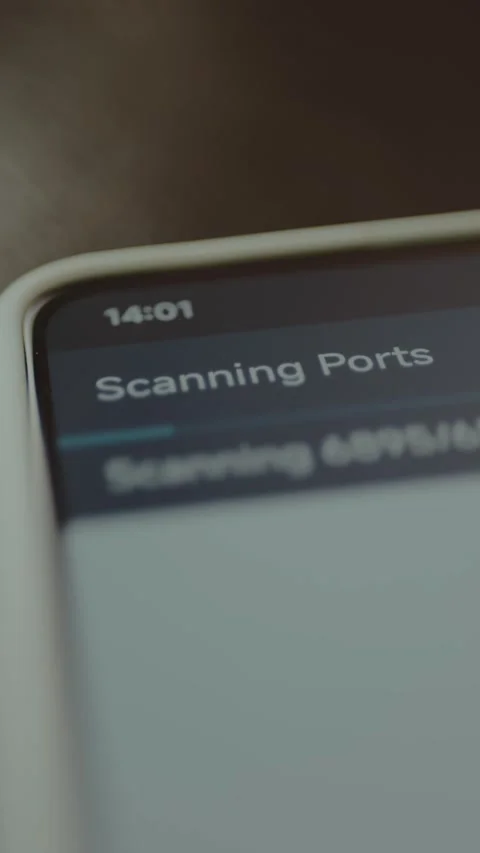 Phone screen indicating that the Scanning Ports process is running Stock Footage 328354893