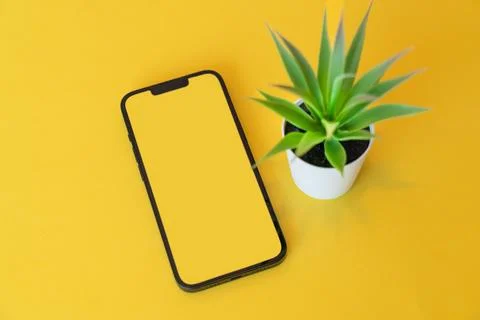 Phone screen mockup Stock Photos