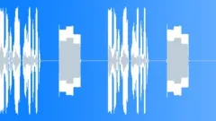 Phone Signal (Hungarian) - The Called Number Does Not Exist LoopSound Effect