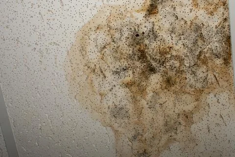Phootography of water damage ceiling tile. Stock Photos