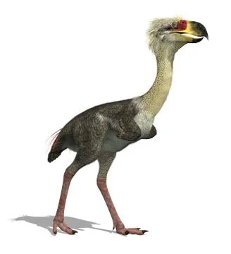 Phorusrhacos Longissimus Stock-Illustration