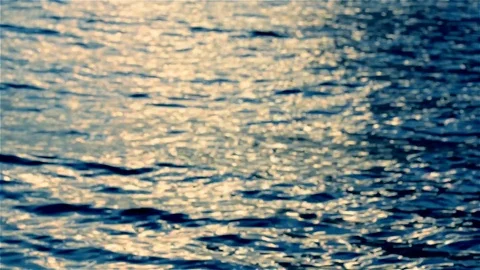 Phosphorescence on the sea Stock Footage 99703659