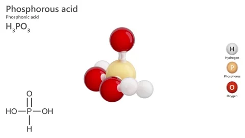 Phosphorous Acid. 3D model of a molecule.  H3PO3.  White background. 3D render Stock Footage 292887854
