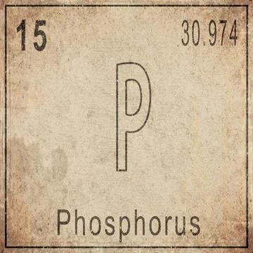 Phosphorus Element Card from Periodic Table on Vintage Old Paper Stock Illustration
