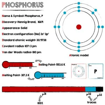 Phosphorus element infographic Stock Illustration