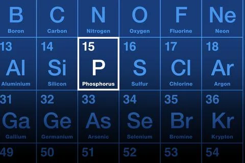 Phosphorus element on the periodic table, with symbol Si 스톡 일러스트