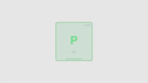 Phosphorus P Periodic Table Element Tile Labeled Animation Video Overlay Alpha 4 스톡 동영상 339371402