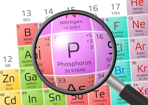 Phosphorus from Periodic Table of the Elements with magnifying glass 스톡 일러스트