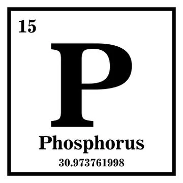 Phosphorus Periodic Table of the Elements Vector illustration eps 10 스톡 일러스트