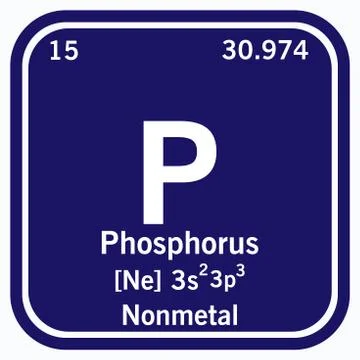 Phosphorus Periodic Table of the Elements Vector illustration eps 10 스톡 일러스트