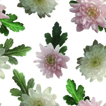 Photo and Digital Seamless Pattern with Nature Chrysanthemums Flowers. Stock Illustration