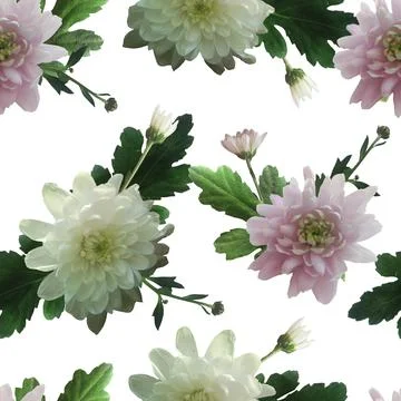 Photo and Digital Seamless Pattern with Nature Chrysanthemums Flowers. Stock Illustration