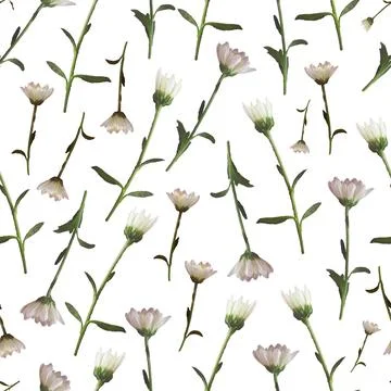 Photo and Digital Seamless Pattern with Nature Chrysanthemums Flowers. Stock Illustration