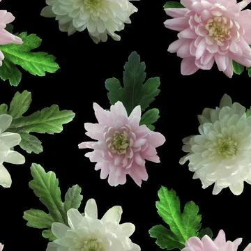 Photo and Digital Seamless Pattern with Nature Chrysanthemums Flowers. Stock Illustration