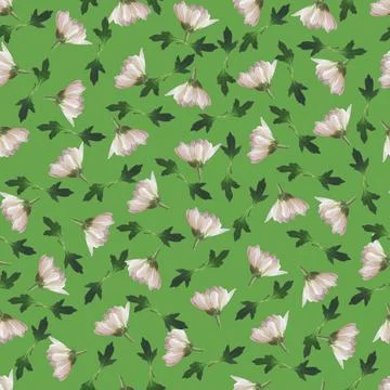 Photo and Digital Seamless Pattern with Nature Chrysanthemums Flowers. Stock Illustration