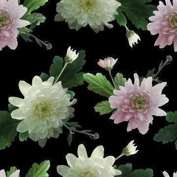 Photo and Digital Seamless Pattern with Nature Chrysanthemums Flowers. Stock Illustration