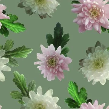 Photo and Digital Seamless Pattern with Nature Chrysanthemums Flowers. Stock Illustration