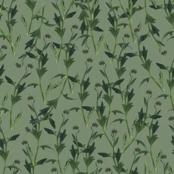 Photo and Digital Seamless Pattern with Nature Chrysanthemums Flowers. Stock Illustration