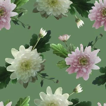Photo and Digital Seamless Pattern with Nature Chrysanthemums Flowers. Illustration