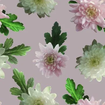 Photo and Digital Seamless Pattern with Nature Chrysanthemums Flowers. Stock Illustration