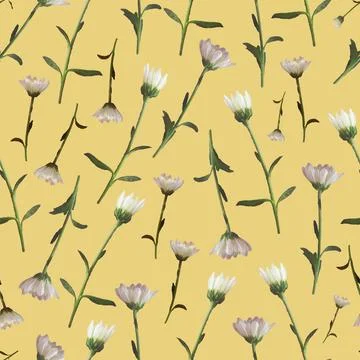 Photo and Digital Seamless Pattern with Nature Chrysanthemums Flowers. Stock Illustration