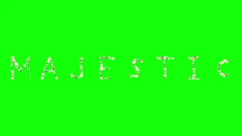 Photo Animated on Chroma Key for Compositing Stock Footage 337996545